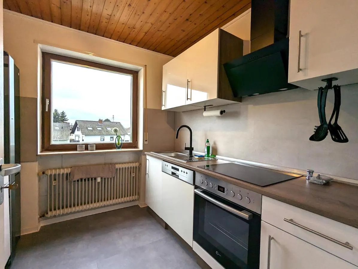 Lakeside Living Pfalz - Free Parking & Balkony Neuhofen 0*,